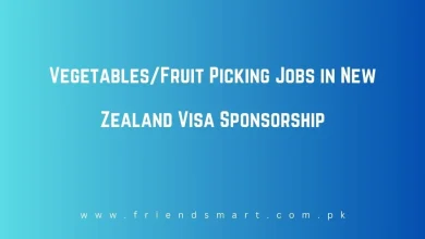 Photo of Vegetables/Fruit Picking Jobs in New Zealand Visa Sponsorship