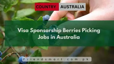 Photo of Visa Sponsorship Berries Picking Jobs in Australia 2024