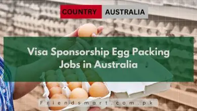 Photo of Visa Sponsorship Egg Packing Jobs in Australia 2024