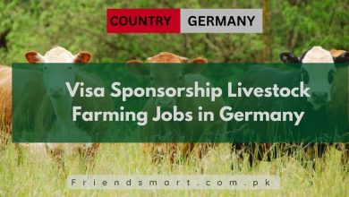 Photo of Visa Sponsorship Livestock Farming Jobs in Germany 2024
