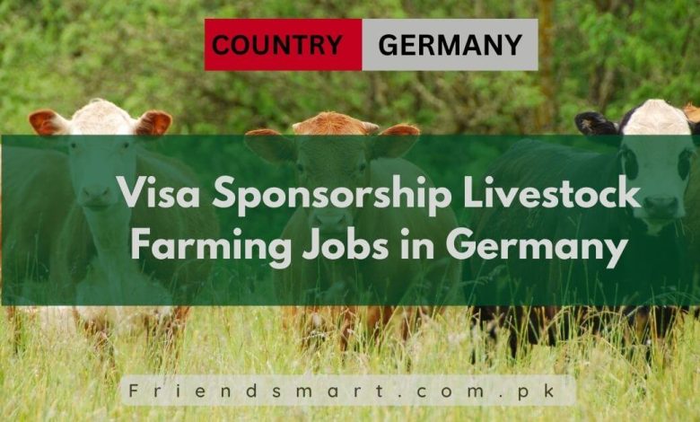 Photo of Visa Sponsorship Livestock Farming Jobs in Germany 2024