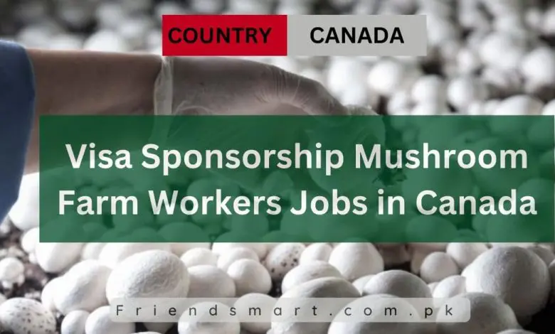 Photo of Visa Sponsorship Mushroom Farm Workers Jobs in Canada 2024