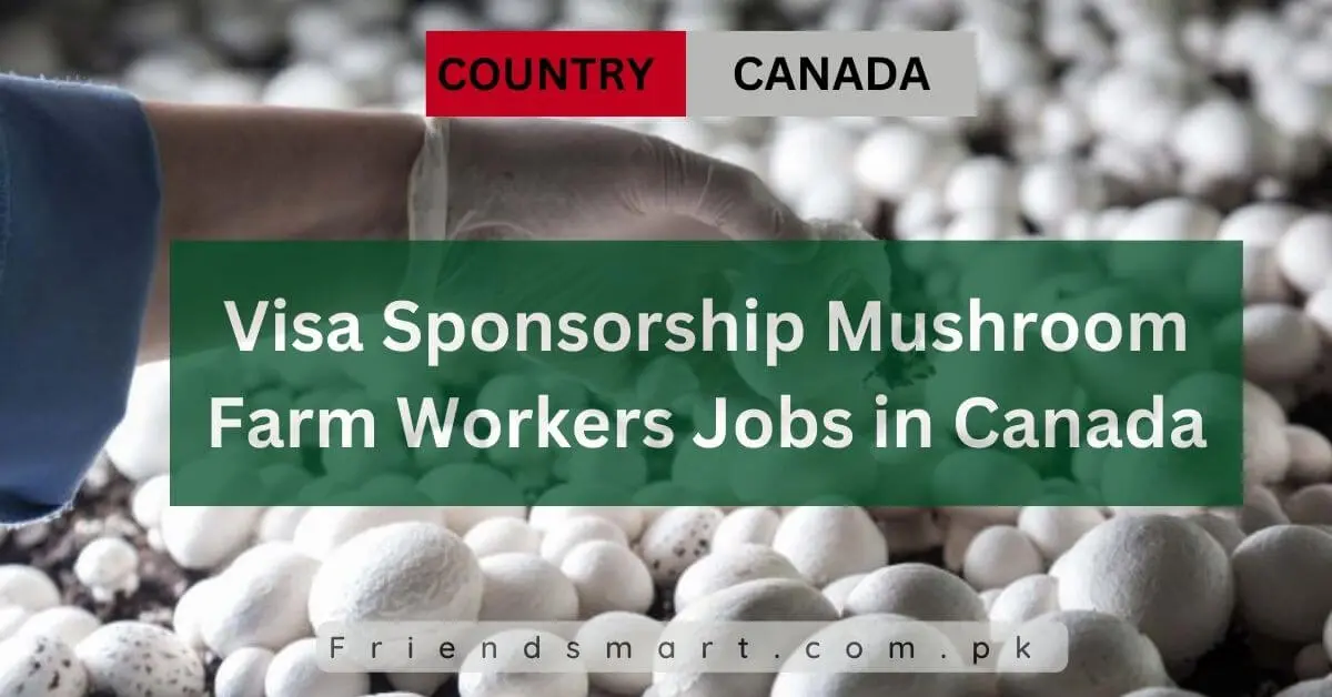 Visa Sponsorship Mushroom Farm Workers Jobs in Canada