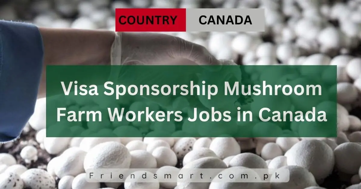 Visa Sponsorship Mushroom Farm Workers Jobs in Canada 2024