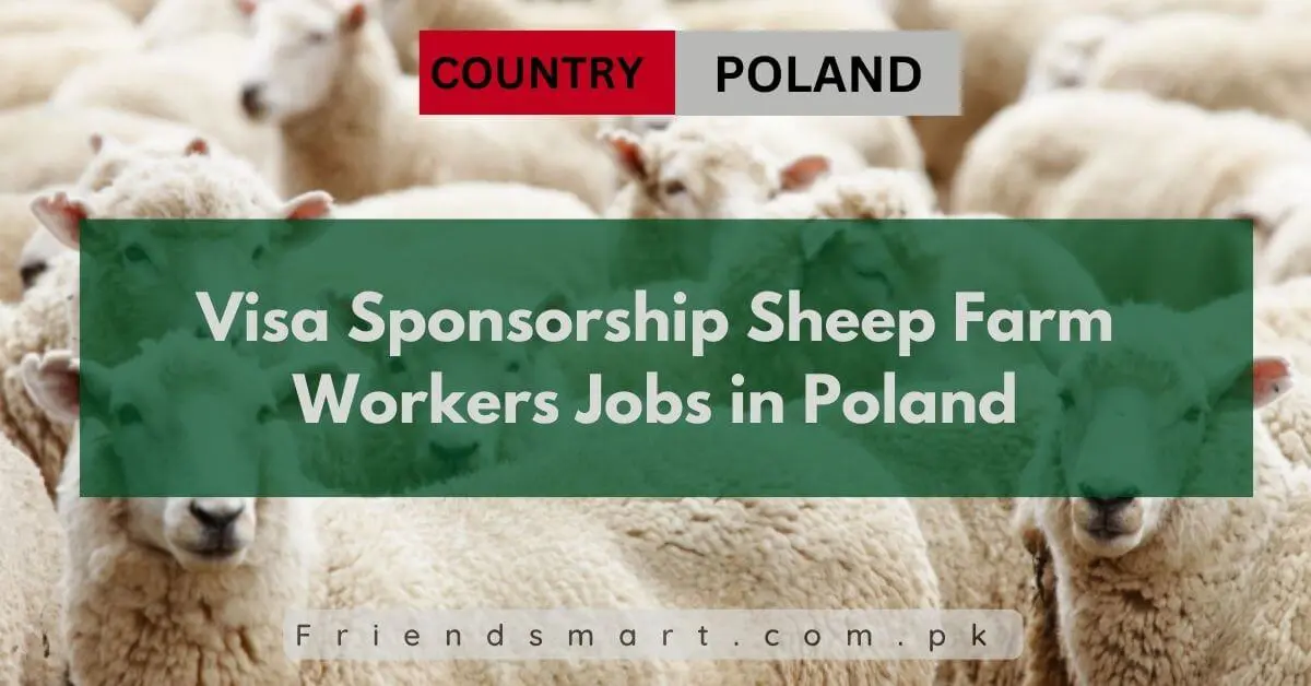 Visa Sponsorship Sheep Farm Workers Jobs in Poland 2024