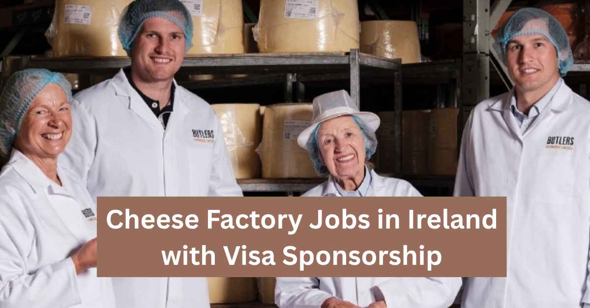 Cheese Factory Jobs in Ireland with Visa Sponsorship