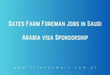 Photo of Dates Farm Foreman Jobs in Saudi Arabia visa Sponsorship