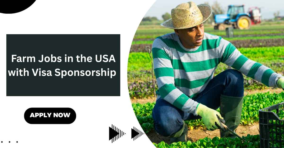 Farm Jobs in the USA with Visa Sponsorship Full Guide