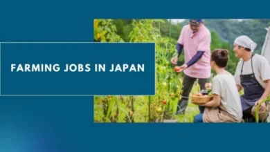 Photo of Farming Jobs in Japan Visa Sponsorship, Salary & Benefits