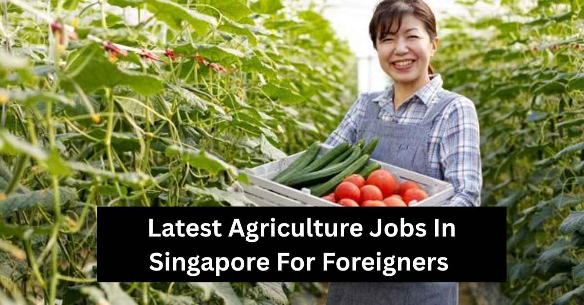 Latest Agriculture Jobs In Singapore For Foreigners