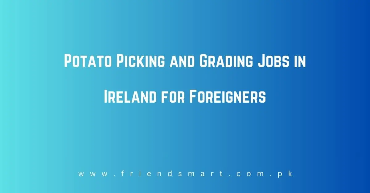 Potato Picking and Grading Jobs in Ireland