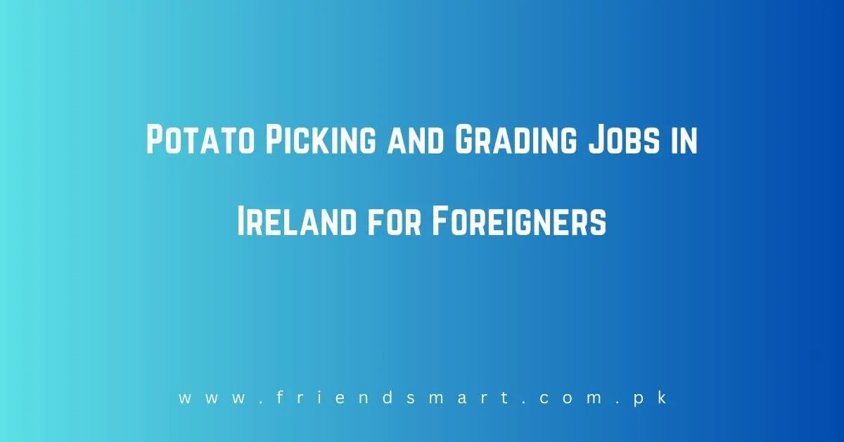 Potato Picking and Grading Jobs in Ireland for Foreigners