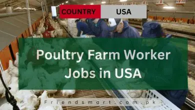 Photo of Poultry Farm Worker Jobs in USA 2024 – Work Visa Sponsorship