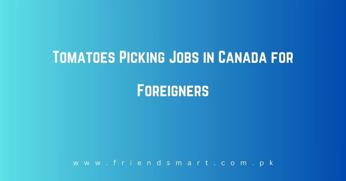 Tomatoes Picking Jobs in Canada