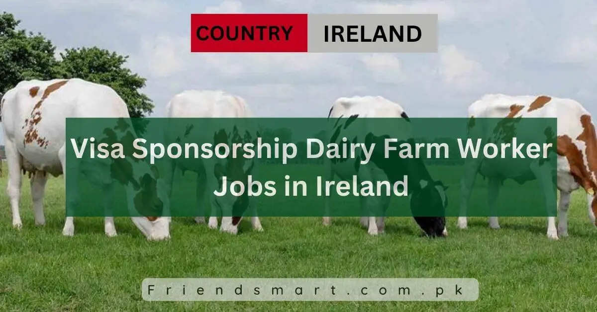Visa Sponsorship Dairy Farm Worker Jobs in Ireland