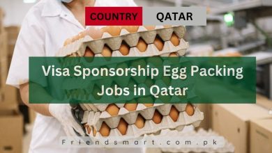Photo of Visa Sponsorship Egg Packing Jobs in Qatar 2024