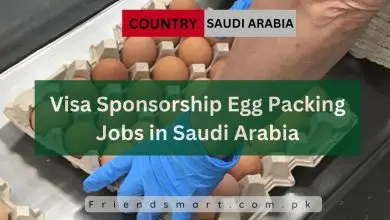 Photo of Visa Sponsorship Egg Packing Jobs in Saudi Arabia 2024