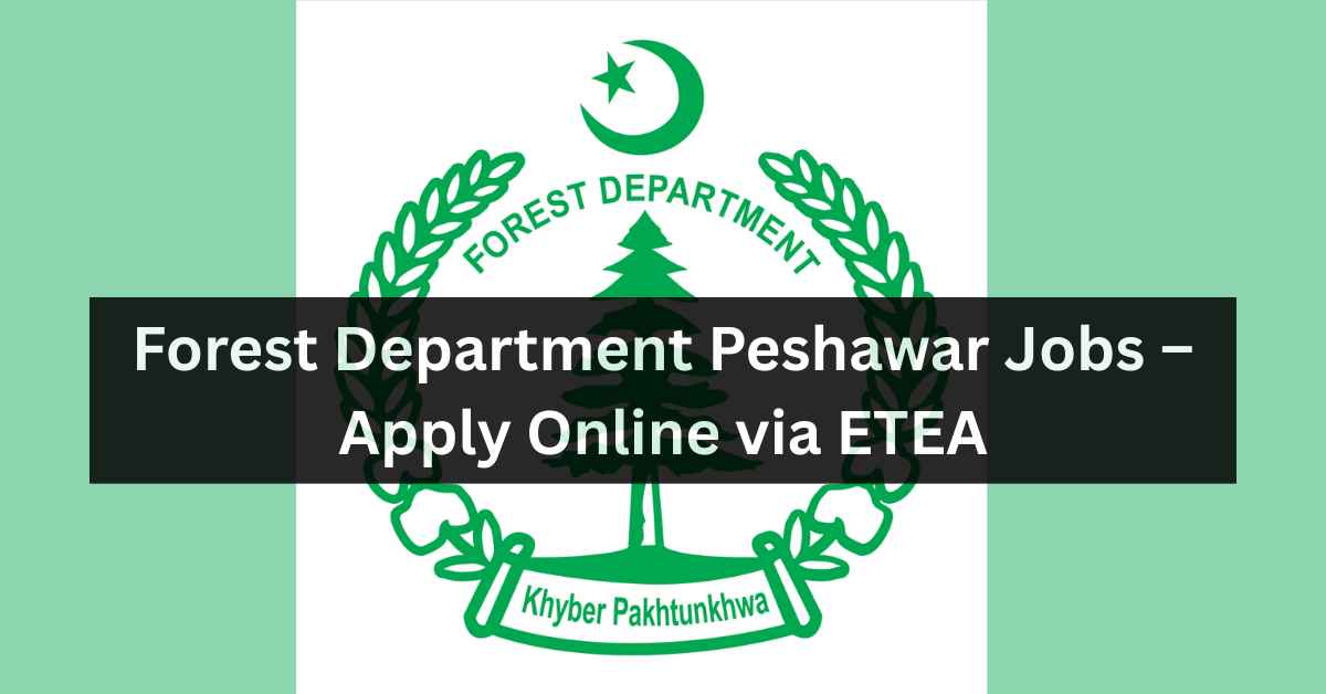 Forest Department Peshawar Jobs – Apply Online via ETEA