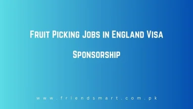 Photo of Fruit Picking Jobs in England Visa Sponsorship