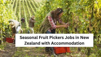 Photo of Seasonal Fruit Pickers Jobs in New Zealand with Accommodation