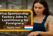 Photo of Visa Sponsorship Factory Jobs in Luxembourg for Foreigners