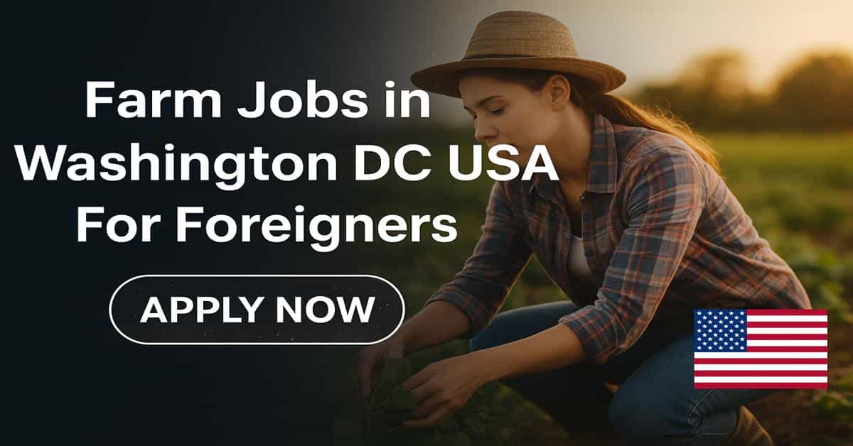 Farm Jobs in Washington DC USA For Foreigners