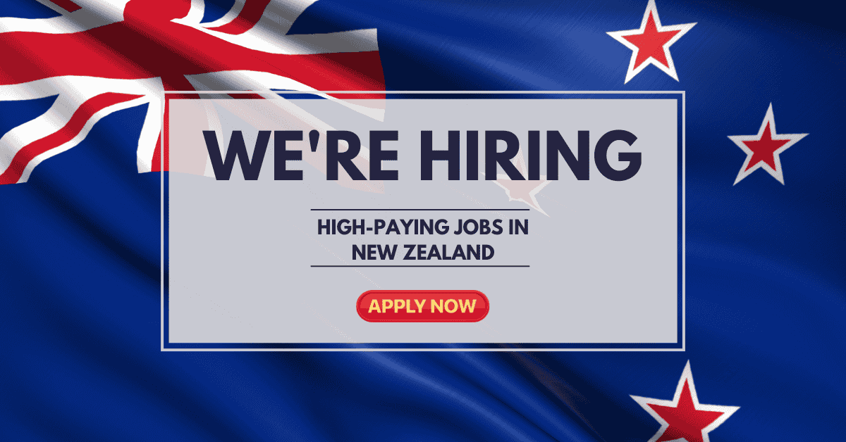 High-Paying Jobs in New Zealand