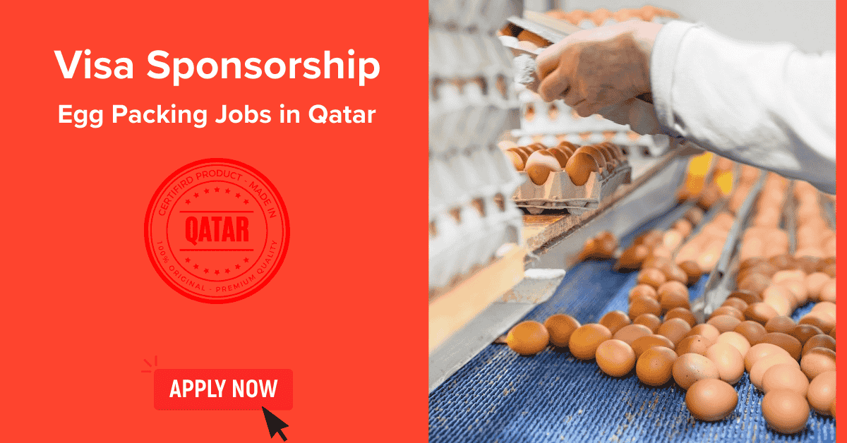 Visa Sponsorship Egg Packing Jobs in Qatar