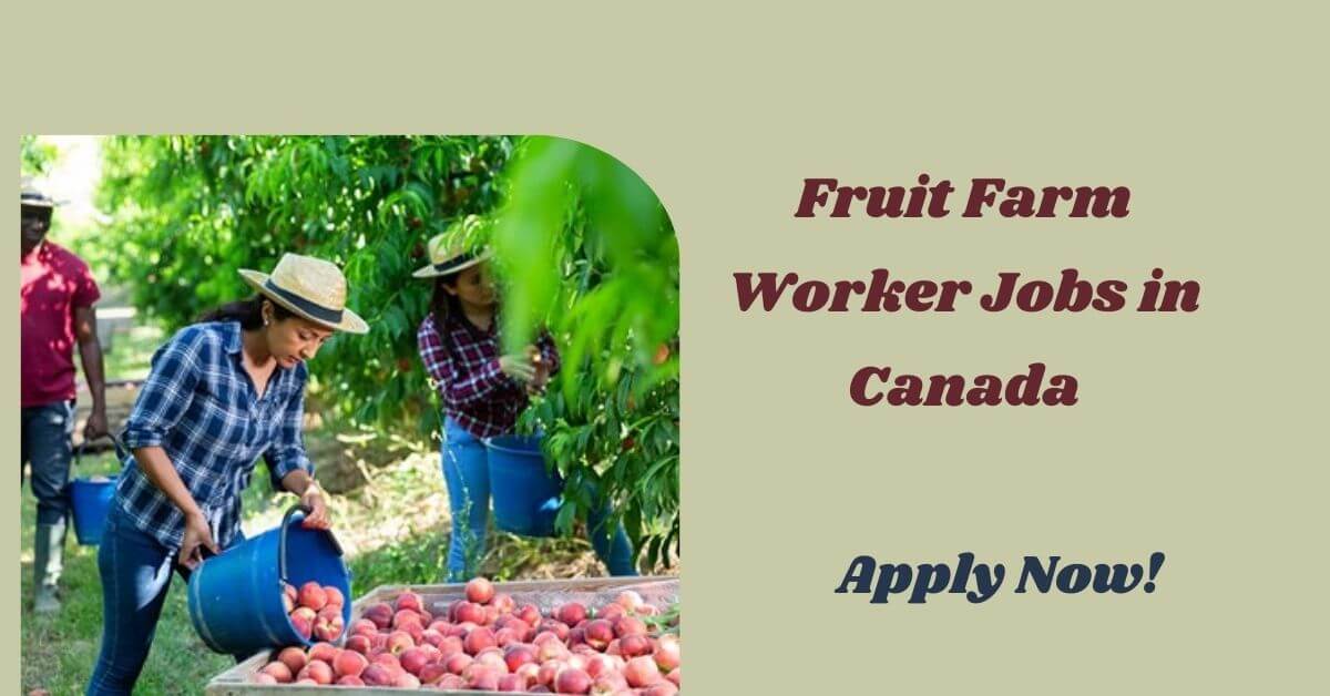 Fruit Farm Worker Jobs in Canada