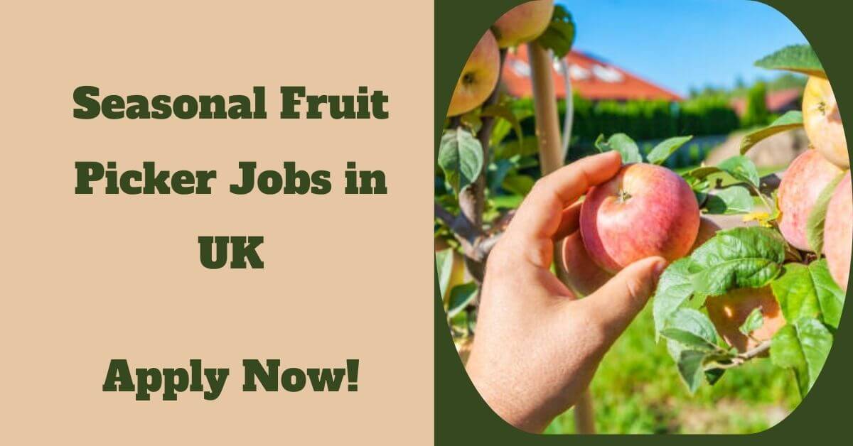 Seasonal Fruit Picker Jobs in UK