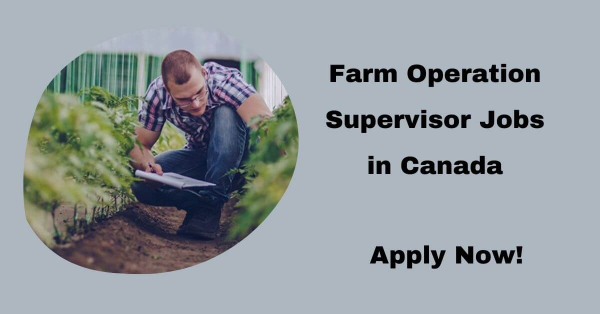 Farm Operation Supervisor Jobs in Canada