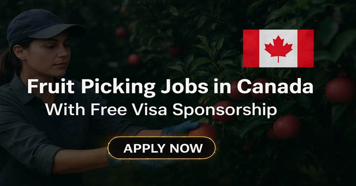Fruit Picking Jobs in Canada With Free Visa Sponsorship
