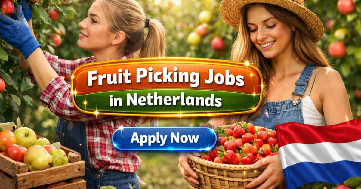 Fruit Picking Jobs in Netherlands