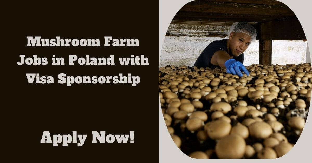 Mushroom Farm Jobs in Poland with Visa Sponsorship
