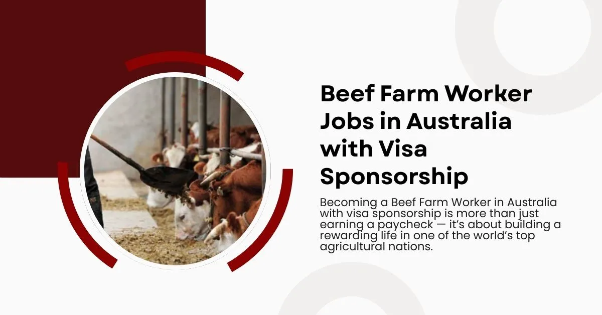 Beef Farm Worker Jobs in Australia