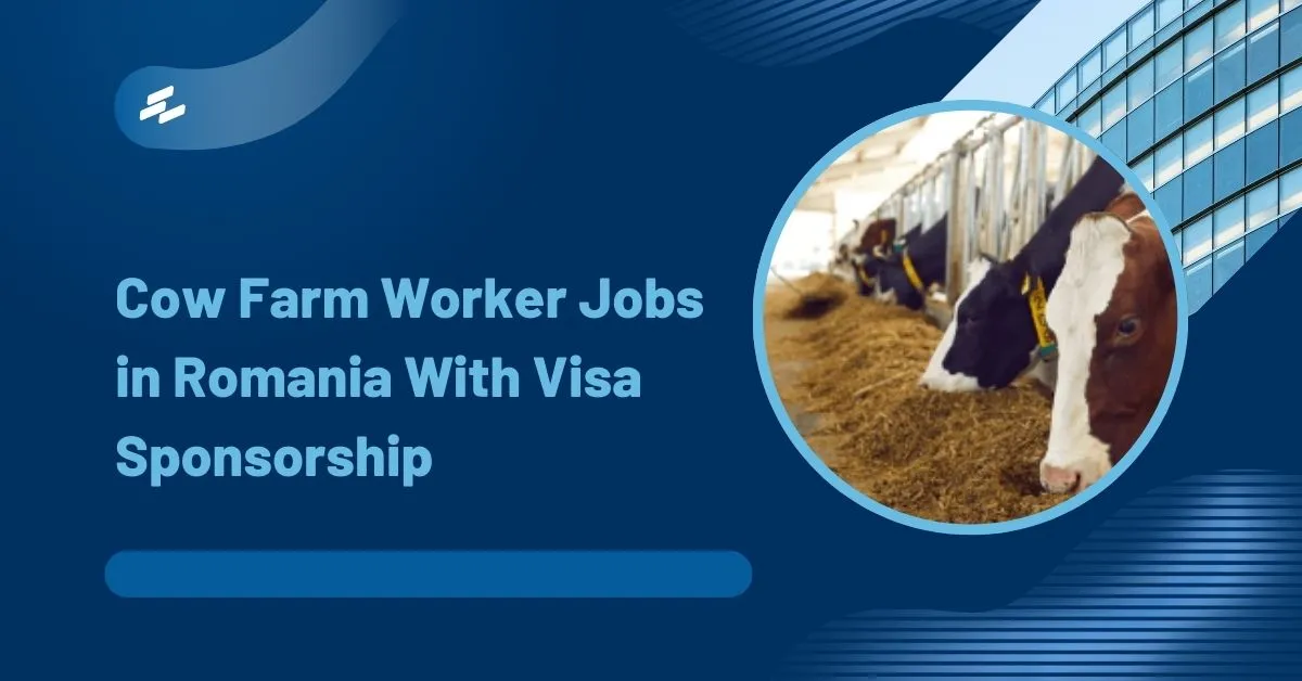 Cow Farm Worker Jobs in Romania