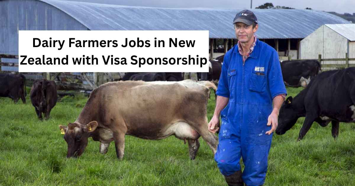 Dairy Farmers Jobs in New Zealand with Visa Sponsorship