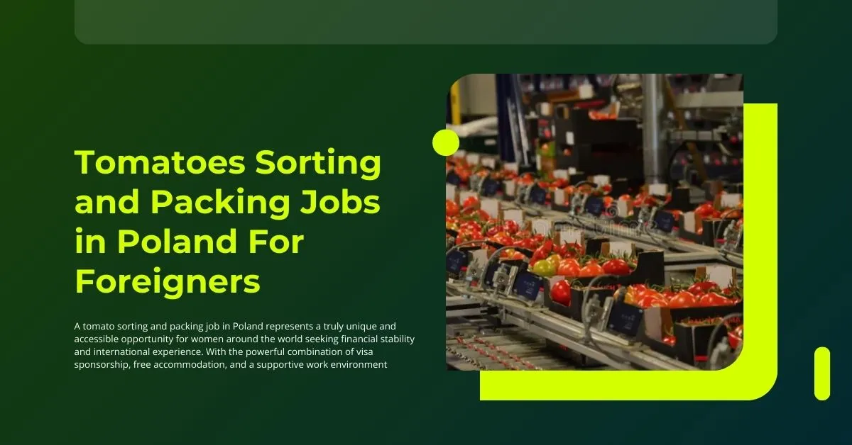 Tomatoes Sorting and Packing Jobs in Poland