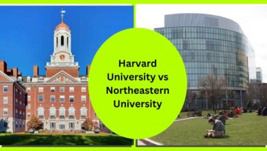 Photo of Harvard University vs Northeastern University: Which Is Better
