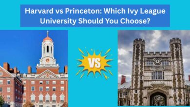 Photo of Harvard vs Princeton: Which Ivy League University Should You Choose?