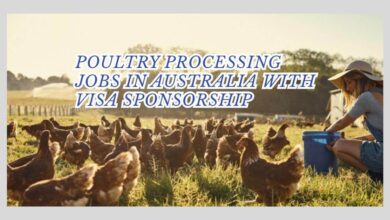 Photo of Poultry Processing Jobs In Australia With Visa Sponsorship 2025